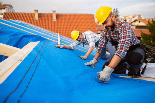 Quick and Trustworthy Emergency Roof Repair Services in Willow Oak, FL