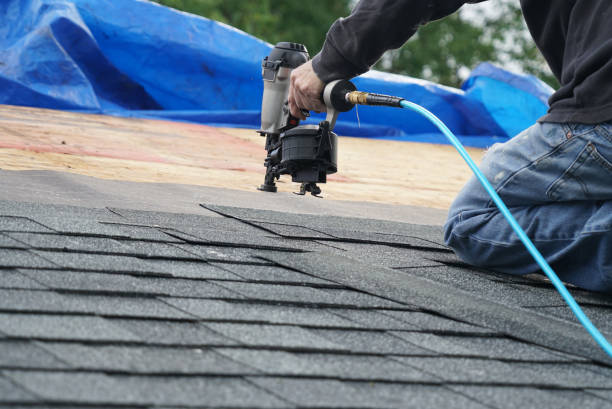 Best Roof Gutter Cleaning  in Willow Oak, FL
